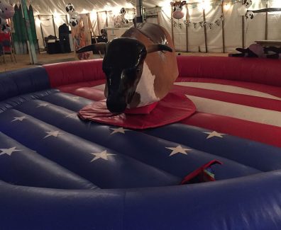 rodeo-bull
