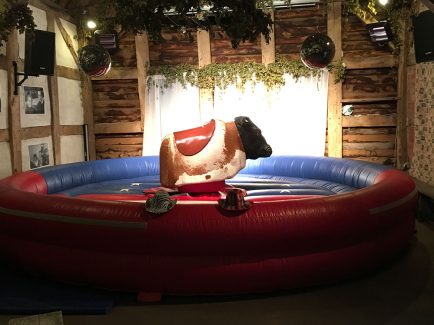 Rodeo Bull